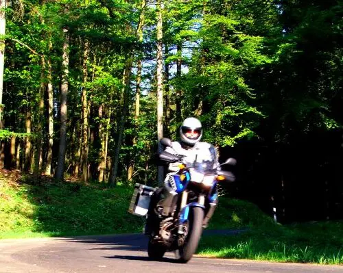 Motorrijder op een bosrijke weg tijdens motorreis Journey to the Heart of Europe