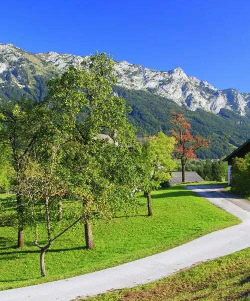 Groene bergweiden en Alpenlandschap – motorreis Stiermarken Salzkammergut Oostenrijk