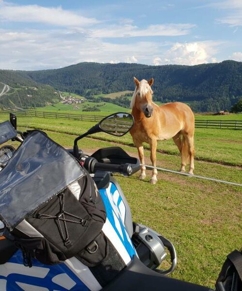 Motorfietsen langs een groene Alpenweide in Italië