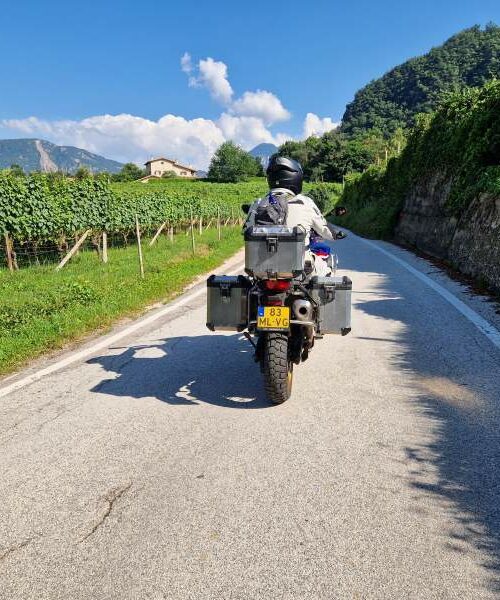 Motorrijder langs wijngaarden in de Dolomieten, Zuid-Tirol, Italië